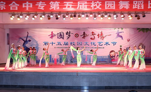 舞動精彩，炫出自我——記第十五屆校園文化藝術(shù)節(jié)舞蹈比賽決賽